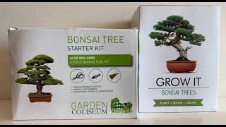 Grow It and Garden Coliseum Bonsai Grow Kits plus Instructions [upl. by Lammond657]