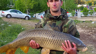 Peshkimi i krapit 15 kg në liqenin e Vermicës Carp Fishing 33 lbs [upl. by Oribella541]