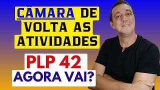 PLP 42 E A NOVA APOSENTADORIA ESPECIAL EM FOCO Volta de férias dos deputados  AGORA VAI [upl. by Katsuyama]