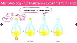 Biogenesis Versus Spontaneous Generation Microbiology [upl. by Eniarrol]