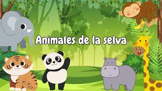 Animales de la selva para niños  Aventura y aprendizaje 🐒🐼 [upl. by Anerac780]