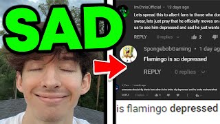 Is Flamingo Okay Flamingo Roblox quotDepressedquot [upl. by Wayne]