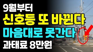 하반기부터 또 바뀌는 신호등 마음대로 못 간다 달라지는 도로교통법 3가지 [upl. by Purvis]