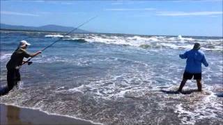 Robalo  Snook 19 lbs El Salvador [upl. by Laforge]