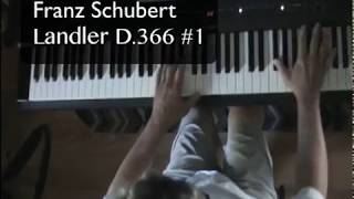 Landler D366 no1 de F Schubert [upl. by Haerb]