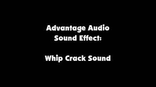 Advantage Audio SFX Whip Crack Sound [upl. by Janith]