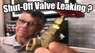 Leaky Shut Off Valve Repair [upl. by Weaver222]