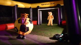 Children in need 2013  Pudsey and Roary the Tiger [upl. by Shere]