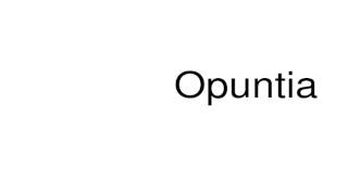 How to pronounce Opuntia [upl. by Nanni]