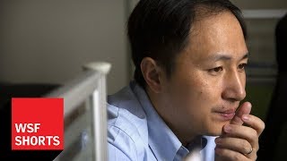 He Jiankui and the Worlds First Geneedited Babies [upl. by Suirada]