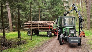 Fendt 200S  Holz fahren  Forstkran  Rungenwagen  Brennholz  Fixlängen 42 [upl. by Leontine]