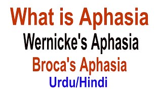 What is Aphasia  Brocas Aphasia Wernickes Area Brocas Area  UrduHindi [upl. by Tabina]