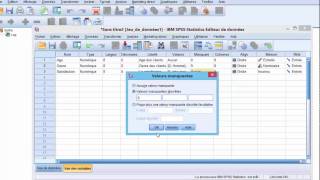 Saisir les données statistiques avec SPSS [upl. by Lsil]