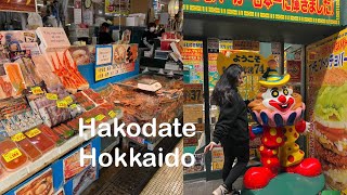 Hakodate vlog Hokkaido 函館につきました [upl. by Marcelline752]