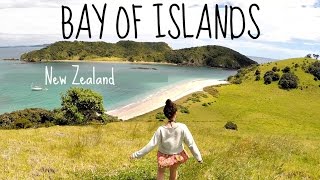 BEAUTIFUL BAY OF ISLANDS  The Big NZ Road Trip [upl. by Vanthe753]