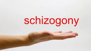 How to Pronounce schizogony  American English [upl. by Ruiz]