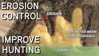 IMPROVE HUNTING  EROSION CONTROL  CRP Programs [upl. by Aerdnaid97]