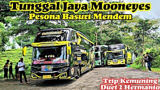 Pesona Basuri Mendem  Tunggal Jaya Mooneyes Trip Kemuning duet Bareng 2 Unit Hermanto [upl. by Perren]