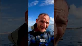 Spearfishing sharks crayfish catch and cook spearfishing coralreef coraltrout sharks [upl. by Eannaj533]