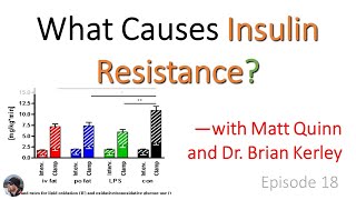 Ep 18 What Causes Insulin Resistance—with Matt Quinn and Dr Brian Kerley [upl. by Fesuoy]