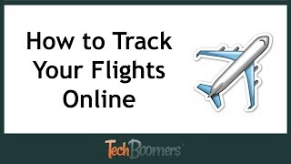 How to Track Your Flights Online [upl. by Atteynod164]