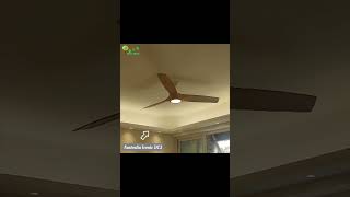 Ceiling Fan iconic Australia  DC3 Ceiling Fan 風扇燈  吊扇燈  燈堂入室 Indoor Lighting [upl. by Jezreel80]