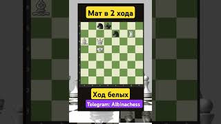 Telegram Albinachess chess chorts шахматы [upl. by Thora388]