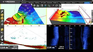 Fish in deep water with DFF 3D [upl. by Loralie]