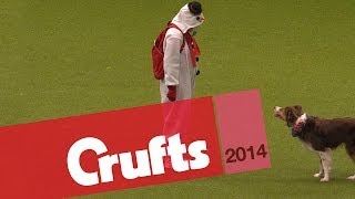 Heelwork to Music  Freestyle International  2nd Place  Crufts 2014 [upl. by Pangaro]