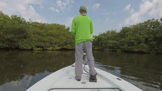 SAWFISH RECOVERY VIDEO [upl. by Eiramlehcar380]