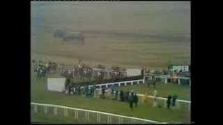 1979 Piper Champagne Cheltenham Gold Cup Chase [upl. by Tlihcox]