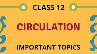 circulation class 12 [upl. by Hooper]