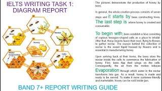 IELTS Writing Task 1  Diagram English Version [upl. by Akinak]