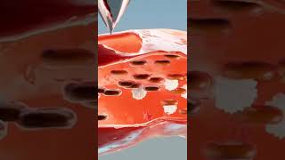 blood platelets increase food in hindi youtubeshorts viralshort [upl. by Casaleggio]