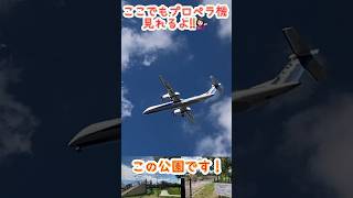 🟢豊中市で✈️探す‼️公園🛝で遊びながら見れる‼️😲飛行機好き エアライン 低空飛行 airplane ana aviation planespotting short [upl. by Bedad]