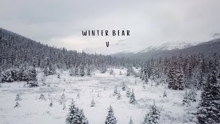 V  WINTER BEAR lyrics [upl. by Kcoj]