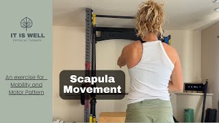 Scapular Movement Patterns Shoulder Blade Mobility [upl. by Avelin]