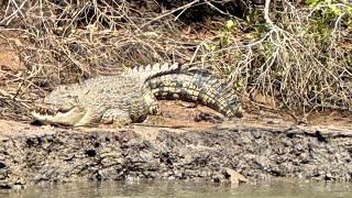 Hinchinbrook Channel grind [upl. by Harrington617]