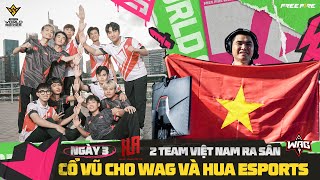 WAG CÂN 3 TEAM THAILAN  2 TOP 1 TẠI VÒNG BẢNG CHUNG KẾT FREE FIRE THẾ GIỚI BRAZILL 2024 [upl. by Darach]