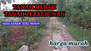 TANAH MERAH TANAH PERKEBUNAN LUAS 3582 METER SHM HAK MILIK [upl. by Sidney]