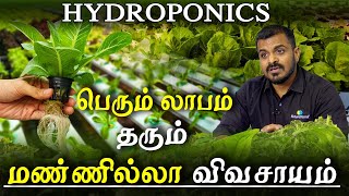 agriculture and organic farming  hydroponic all you need to know profitable hydroponics in tamil [upl. by Odlaw933]