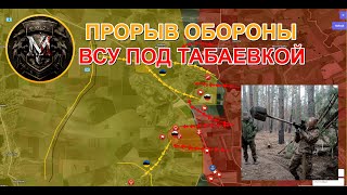 Русские Установили Контроль Над Табаевкой  ВСУ Массово Отступают Военные Сводки И Анализ 2712024 [upl. by Orit]