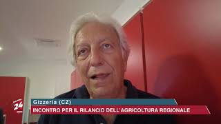 Gizzeria CZ Incontro per il Rilancio dell Agricoltura Regionale [upl. by Dnalon]