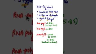 What is RNA Polymerase in Eukaryotes in Hindi biology [upl. by Madella963]