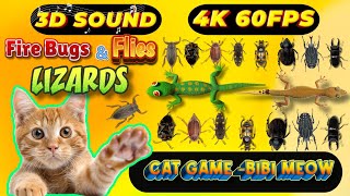 CAT GAMES TOM TV amp BiBi  Ultimate Compilation Catching The LIZARDS  Flies FireBugs🦎11 HOUR🦎Vol 87 [upl. by Eiramik]