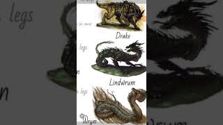 types of dragons lindworm shorts dragon mythology [upl. by Diamond]