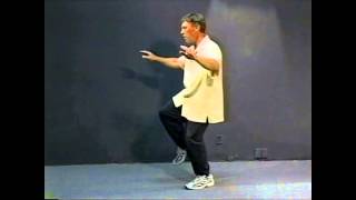 Yang Style Tai Chi Long Form Special Lesson  The Torso and Eyes [upl. by Citarella]