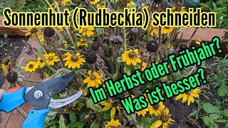 Rudbeckia schneiden im Herbst  Sonnenhut jetzt zurückschneiden oder besser erst im Frühjahr [upl. by Gert]