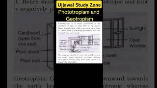 Phototropism and Geotropism ujjawalstudyzone motivation cbse [upl. by Boonie]