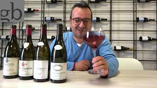 La genialità dei vini Gevrey Chambertin [upl. by Benedic]